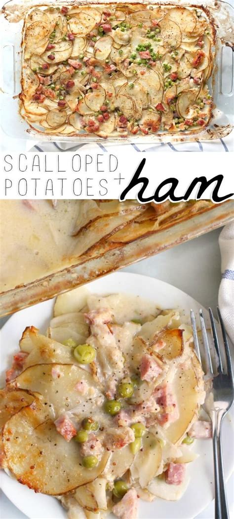 Scalloped Potatoes And Ham Recipe Ways To Use Leftover Ham Hot Sex Picture