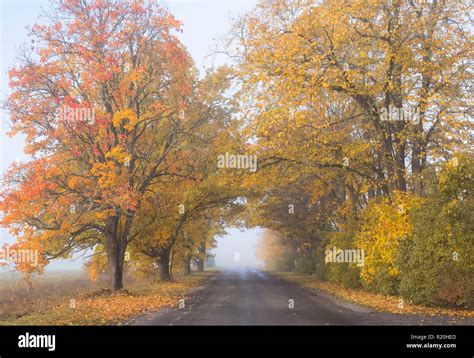 Foggy Road Side Hi Res Stock Photography And Images Alamy