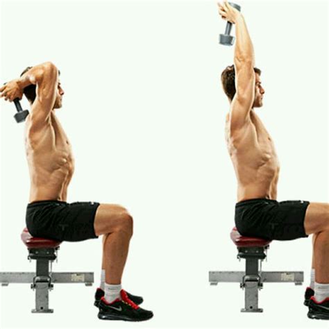 Seated Triceps Press Extension By Jacco Obermeier Exercise How To