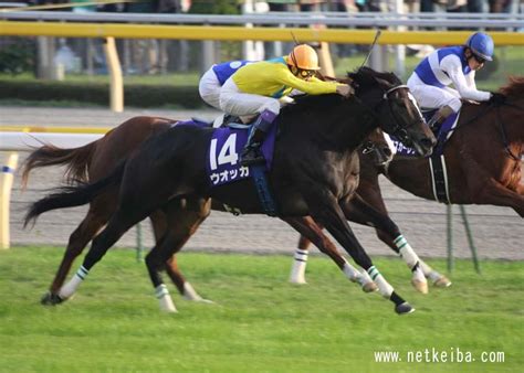 Manage your video collection and share your thoughts. 安田記念枠順確定 | 競馬ノ神器 - 楽天ブログ