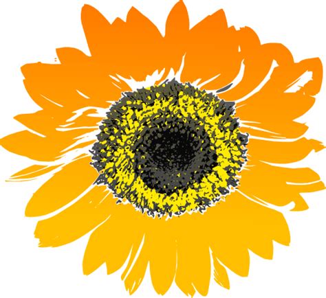 Free Free 221 Clipart Sunflower Jpg SVG PNG EPS DXF File