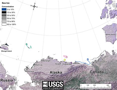 Tracking Polar Bears In The Beaufort Sea April Map Not Yet Available