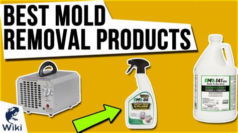 Top 10 Mold Removal Products Of 2020 Video Review