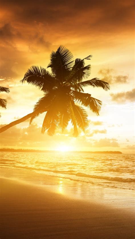 Download Wallpaper 720x1280 Beach Tropics Sea Sand Palm Trees