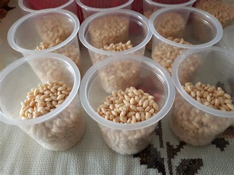 Di sini, anda hanya perlu memasukan kode yang ingin anda buat sebagai barcode. Coklat Cadbury, Bubble Rice & Minyak Masak, Hanya Perlu 3 ...
