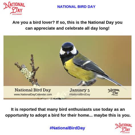 National Bird Day January Bird National National Calendar