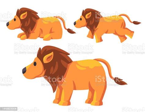 Lion Africa Hairy Cute Design Illustration Set Collection Of Jungle