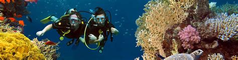 10 Best Scuba Diving Spots In Krabi Thailand Diving At Ao Nang