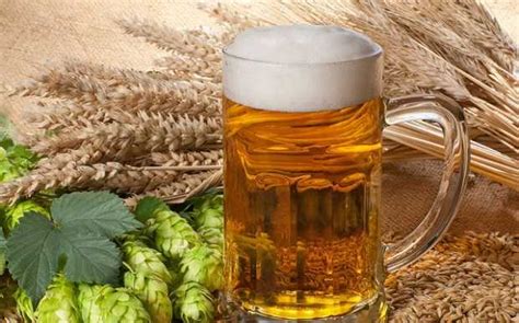 Oggi grazie al nostro amico lord necrorder , prepariamo la birra neipa utilizzando la tecnica del dry hopping.infatti per le birre new england indian pale al. Birra fatta in casa, tutte le indicazioni - Idee Green