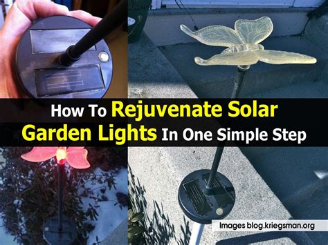 In order to ensure that they work as they are meant to, there are some key things to keep in mind such as cleaning the solar panels and. How To Rejuvenate Solar Garden Lights In One Simple Step