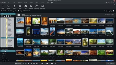 • added expandable album toolbar • updated settings screen • updated design of photo queue • performance improvements • shrunk down application size • file handling security updates • android 10 ready. Best Free Photo Organizer Software For Windows 10, 8, 7 in ...