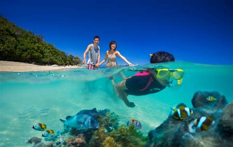 Snorkeling At Fitzroy Island Queensland Island Resort Fitzroy