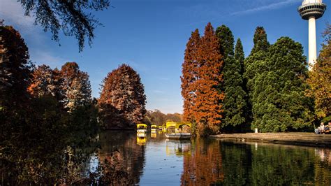 Download Wallpaper 2560x1440 Park Lake Autumn Trees Reflection
