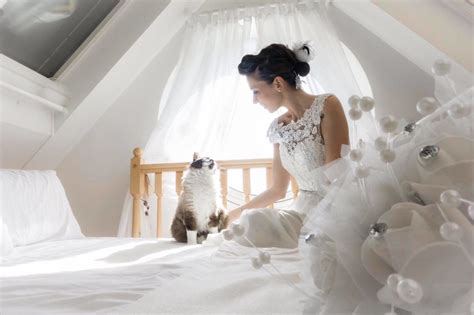 Im A Photographer Who Does Post Wedding Private Shooting With Cats And Heres The Result