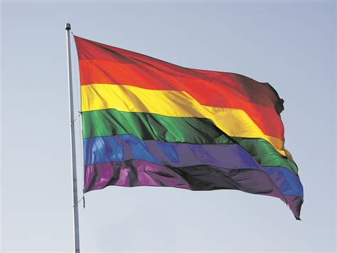 Pride flags are very commonly used in the moodboard and stimboard communities on tumblr, but also used by corporations in pride month. thetelegram.com