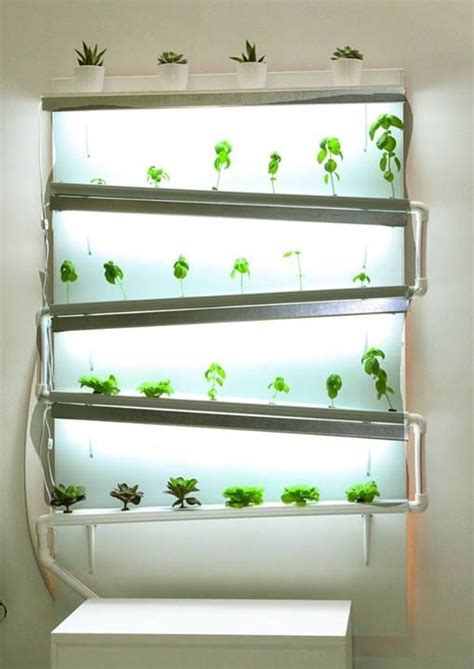 These kits almost always come with germination bags, fiber soil (a specialty soil that maximizes oxygen absorption by up this really is the perfect kit for both the herb enthusiast who geeks out over hydroponic growing and the technologically unsavvy beginner who just. A fully functional indoor #hydroponic wall growing herbs ...