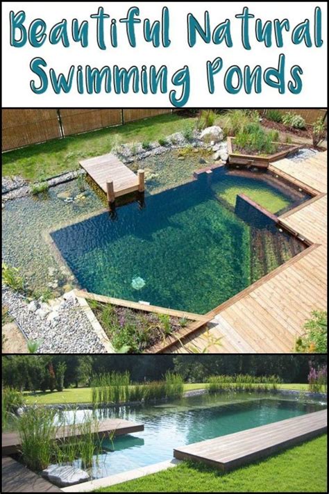 Natural Swimming Ponds Diy Swimming Pool Natural Swimming Ponds