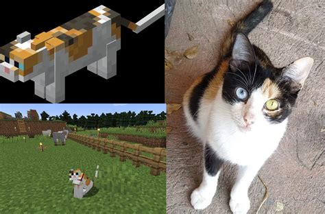 Minecraft Calico In Real Life Rthecatreport