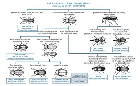 Everything you need to know to pass a state license exam on your first try! Stored product pest control measures : Pest Management ...