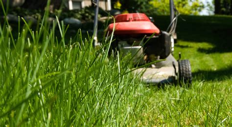 Walmart.com has been visited by 1m+ users in the past month How to Get Rid of Ticks in Your Yard: 9 Simple Steps that ...