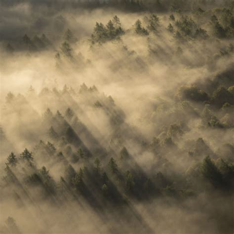 Woodland And Landscape Photography By Simon Baxter In North
