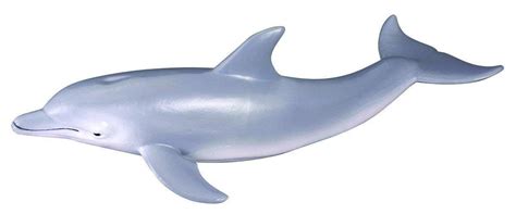 Collecta Bottlenose Dolphin Toy Figurine 4892900880426