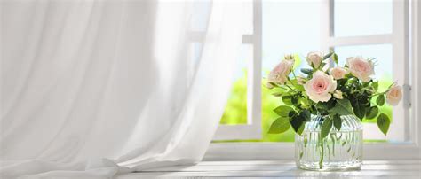 Flowers in the window (spanish translation). Rose Flowers Near Window Stock Photo - Download Image Now ...
