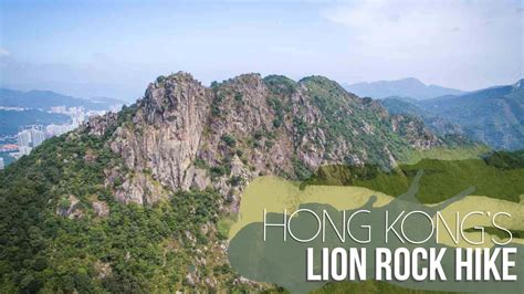 Best View Of Hong Kong Lion Rock Hike Getting Stamped