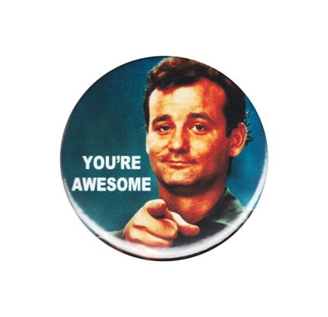 Youre Awesome Bill Murray Meme Button Badge Pin