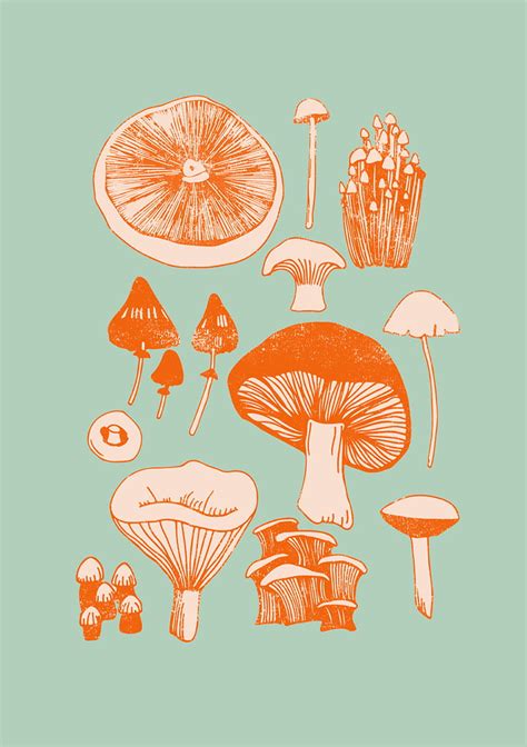Mushroom Fungi Wall Art Print Fungi Art Mushroom Art Art Prints Mushroom Frog Hd Phone