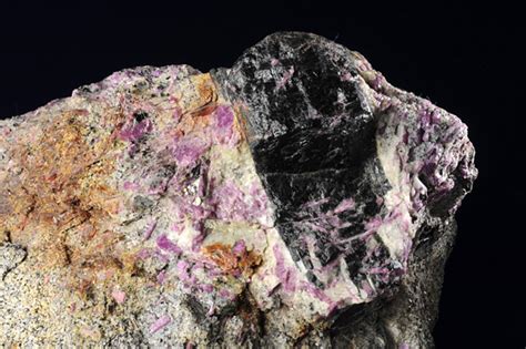 石の記憶――岩石を通して太古の地球と語る 多摩てばこネット