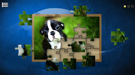 Puppy Dog Jigsaw Puzzles On Steam