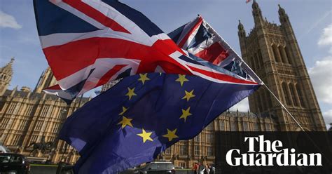 Uk Has Seen Brexit Related Growth In Racism Says Un Representative Politics The Guardian