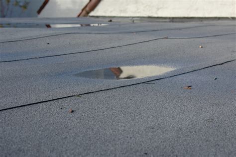 How To Fix A Leaking Flat Roof Atkinson Inspection Services