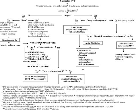 A new algorithm for the initial evaluation and management of