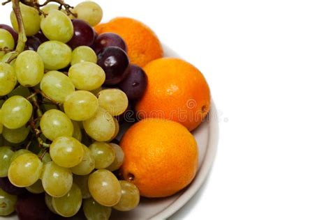 Grapes And Oranges Stock Photo Image Of Food Bunch 25236700