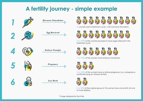 Understanding Fertility Success Rates Learn Gynii Me