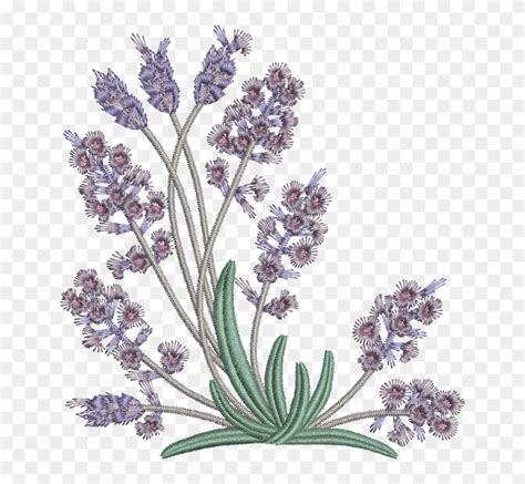 Download the perfect embroidery design pictures. Embroidery Pattern Lavender Flowers , Png Download ...