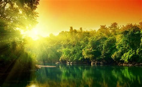 Lush Green Forest River At Sunrise Green Body Of Water With Trees
