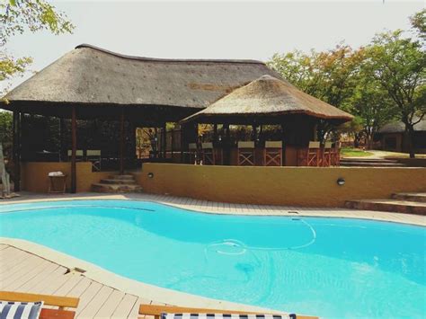 today seems like a good day to enjoy the pool at mopane bush lodge for any booking or general