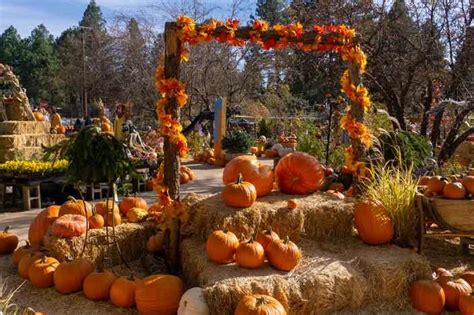 Where To Find The Best Pumpkin Patch In Arizona 12 Festive Fall Spots