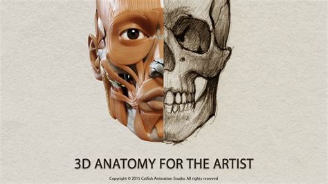 3D Anatomy for the Artist - App Tutorial - YouTube