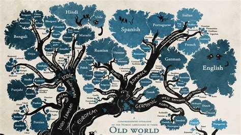 Sprache European Languages World Languages Learning Languages