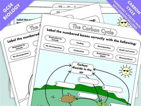 Engineers are working to reduce the carbon emissions into the atmosphere by developing technologies that use less fuel and are more sensitive to the balance of the carbon cycles. GCSE Biology: Carbon Cycle worksheets and A3 wall posters ...