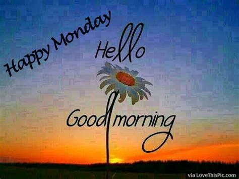 No matter how tough it gets, remain consistent. Happy Monday Hello Good Morning Pictures, Photos, and ...