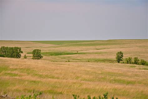 Tallgrass Prairie Ecosystem Images | North American Prairies | Live Science