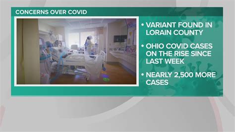 Ohio Department Of Health Confirms Covid 19 Variant Ba286 In Lorain
