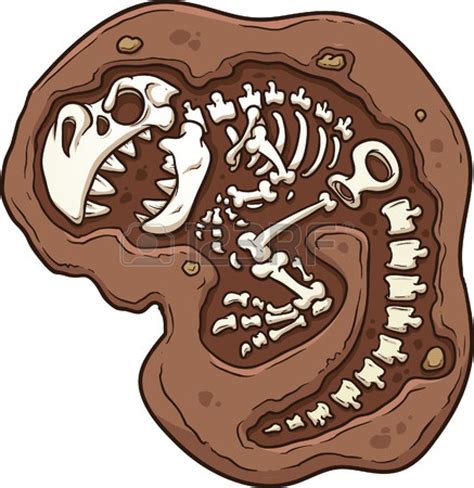 Dinosaur Fossils Dinosaur Illustration Art