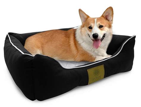 Choose from our wide selection at affordable prices today. Where To Buy Kong Dog Bed | petswithlove.us