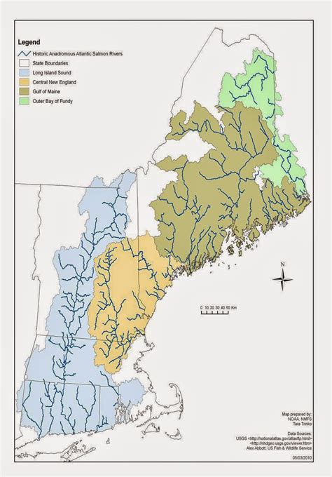 Atlantic Salmon Flies Native New England Salmon Flies Part I